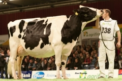 fotogalerie-cat3-85-bons_holsteins_ella_1581112100155