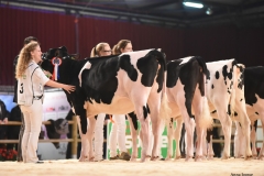 3-Rovershoekster-tex-B-Shottle-6