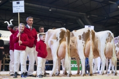 breedres-herd-haytema_151212-0001
