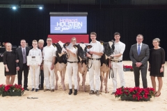 champions-junior-holstein_151212-0001