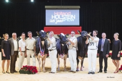 champions-senior-holstein_151212-0002