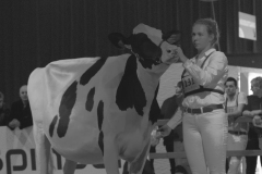 anne_rixt_de-haan_megasire_126