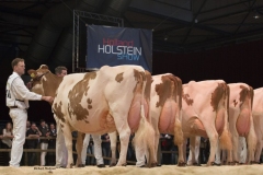 bons_holsteins_aaltje_94_talent_0591