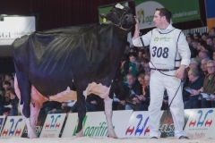 bons_holsteins_koba_191_jasper_0250