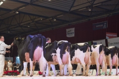 bons_holsteins_koba_191_jasper_0258