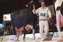 bons_holsteins_koba_191_jasper_0266