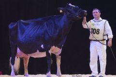 bons_holsteins_koba_191_jasper_0269