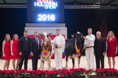 bons_holsteins_koba_191_zeedieker_roseanna_advent_0421