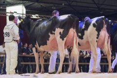 bons_holsteins_koba_219_lauthority_0014