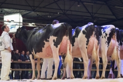 bons_holsteins_koba_219_lauthority_0017