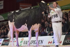 bons_holsteins_koba_219_lauthority_0023