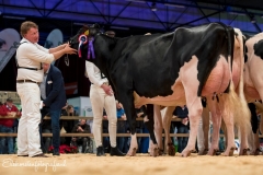 Els-Korsten-Fotografie0016