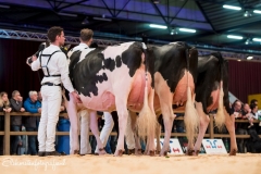 Els-Korsten-Fotografie0030