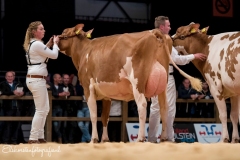 Els-Korsten-Fotografie0096