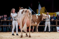 Els-Korsten-Fotografie0182