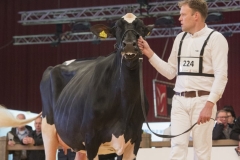 bons_holsteins_koba_226_lauthority_0031