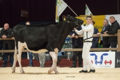 chiel-goesten_171208-0020-1