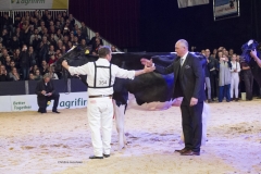 bons-holstein-koba-lauthority_181208-0020