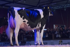 bons_holstein_koba_229_atwood_083