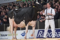 bons_holsteins_koba_219_lauthority_201