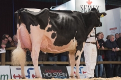 bons_holsteins_koba_219_lauthority_210