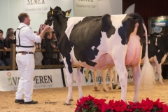 bons_holsteins_koba_229_atwood_043