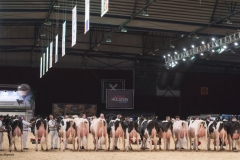 bons_holsteins_koba_229_atwood_046