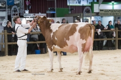 jimm-holsteins-ventie-30-absolute_181208-0001