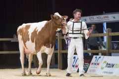 jimm-holsteins-ventie-30-absolute_181208-0009