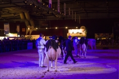 misc-hhh-show_181208-0007