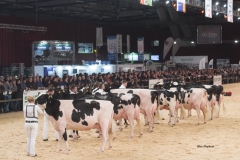 overview_chamionship-old_244