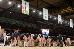 Els_Korsten_Fotografie010