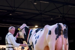 Els_Korsten_Fotografie144