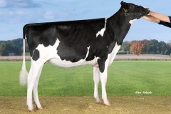Adriana-Delta-Lambda-NL644288334-catnr29