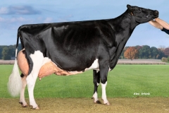 Drakkar-Bulona-Lotta-Hill-Shottle-41-FR1445852872-catnr356