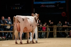 Els_Korsten_Fotografie320