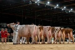 Els_Korsten_Fotografie351