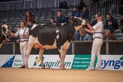 2024 Holland Holstein Show