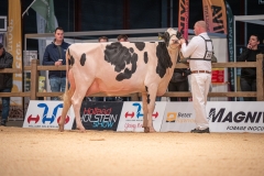 20241116-_DSC5739