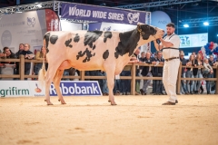 20241116-_DSC5761