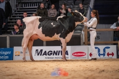 20241116-_DSC5776