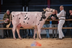 20241116-_DSC5778