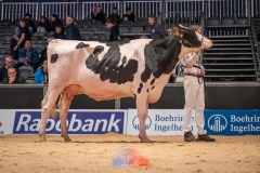 20241116-_DSC5786