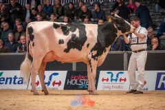 20241116-_DSC5787