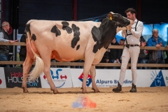 20241116-_DSC5788