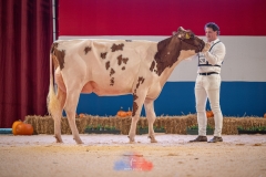 20241116-_DSC5798
