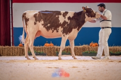 20241116-_DSC5800