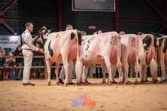 20241116-_DSC5806