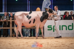 20241116-_DSC5810