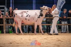 20241116-_DSC5813